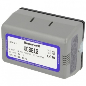 255025